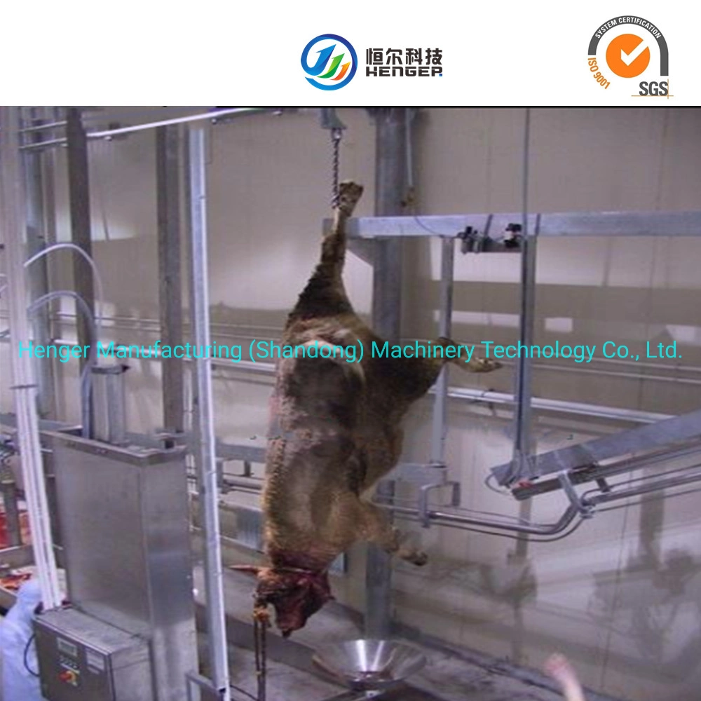 Large Cow Bone Crushing Machine Pet Food Processing Equipment