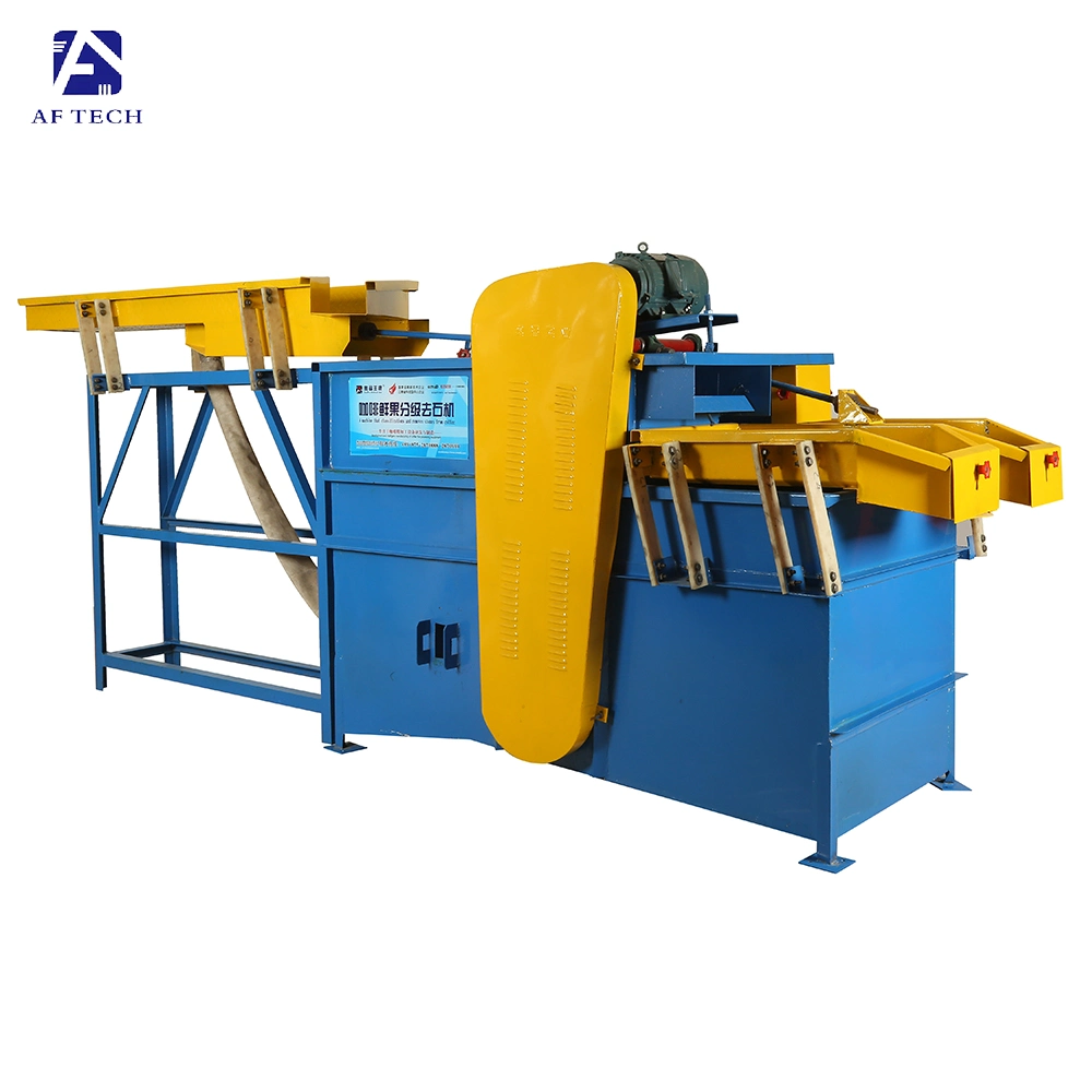 Fresh Coffee Fruit Grading Stones Sieving Vibrating Screen Sorting Machine